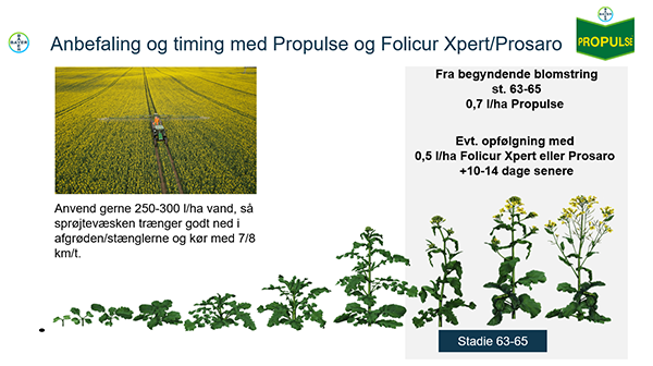 Grafik, der viser Bayers anbefalinger til svampebekæmpelse i raps med Propulse